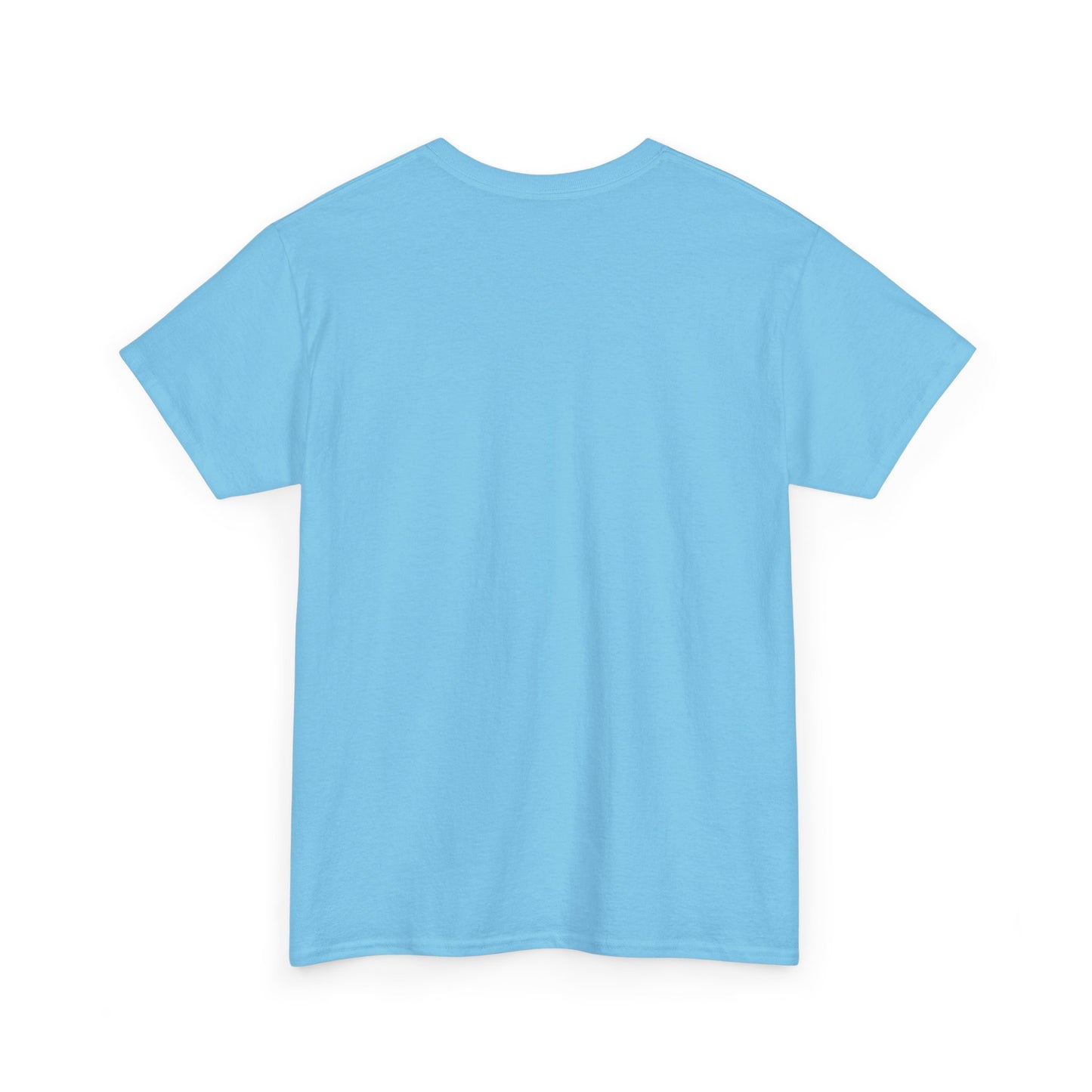Thalhe Festival - Thalita Ballet Dom Quixote - Ballet Dancer Unisex Heavy Cotton Tee