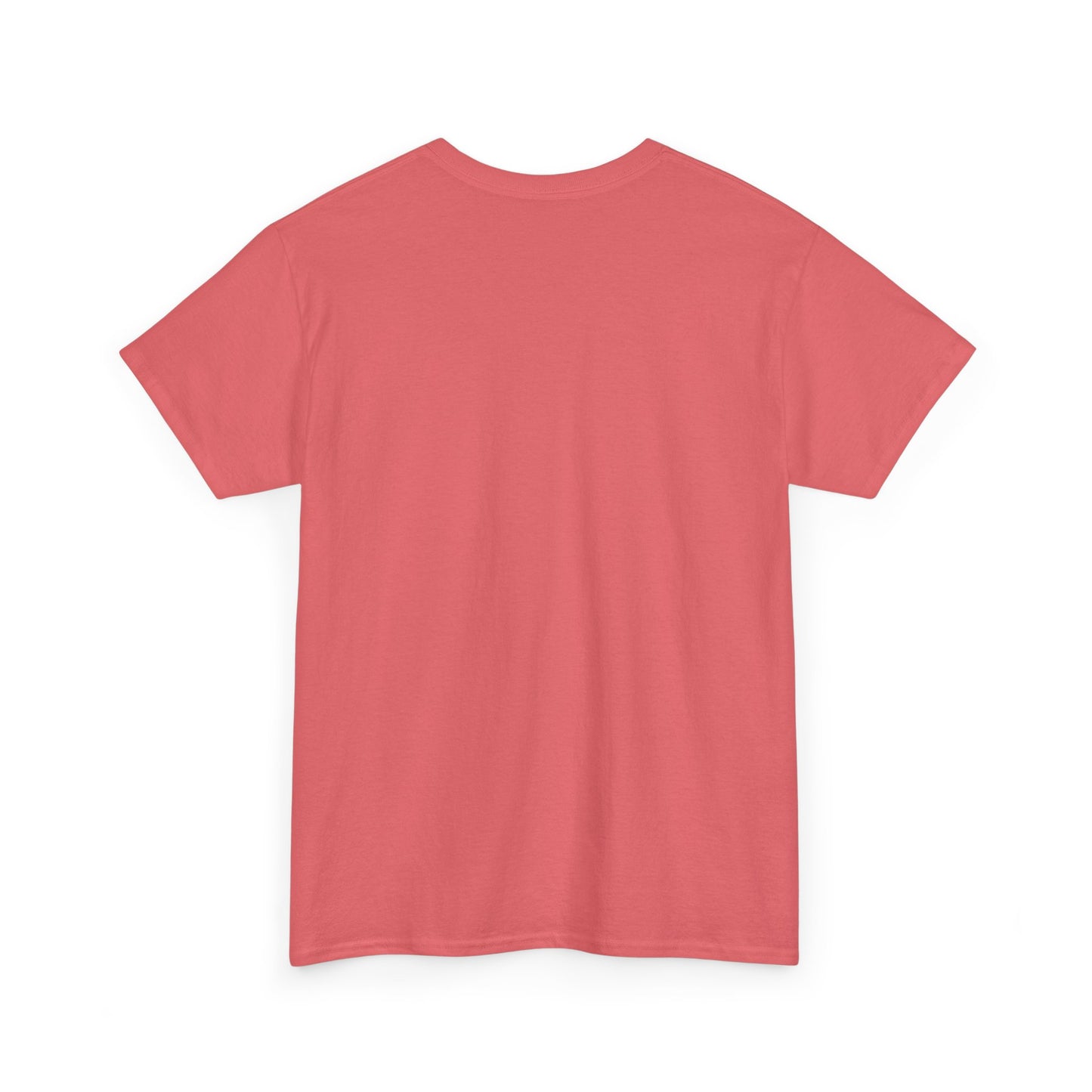 Thalhe Festival - Thalita Ballet Dom Quixote - Ballet Dancer Unisex Heavy Cotton Tee