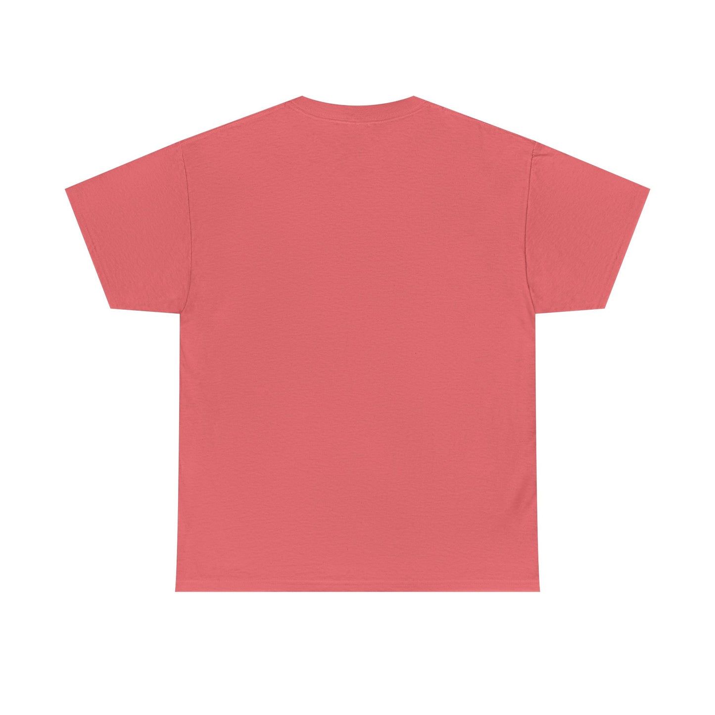 Thalhe Festival - Thalita Ballet Dom Quixote - Ballet Dancer Unisex Heavy Cotton Tee