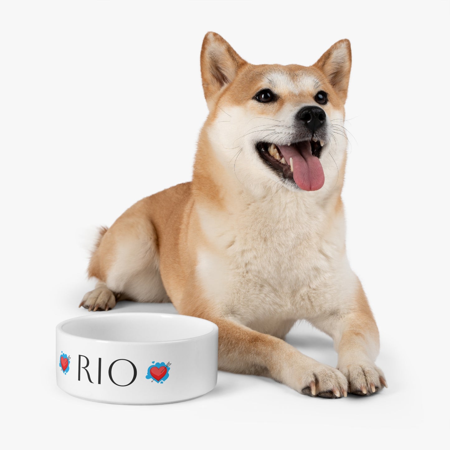 Be Pet - Personalized Pet Bowl for Cats and Dogs