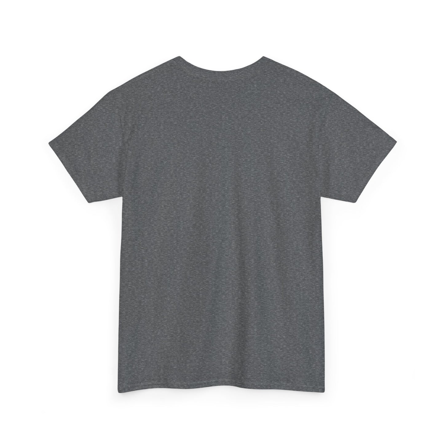 Thalhe Festival - Thalita Ballet Dom Quixote - Ballet Dancer Unisex Heavy Cotton Tee