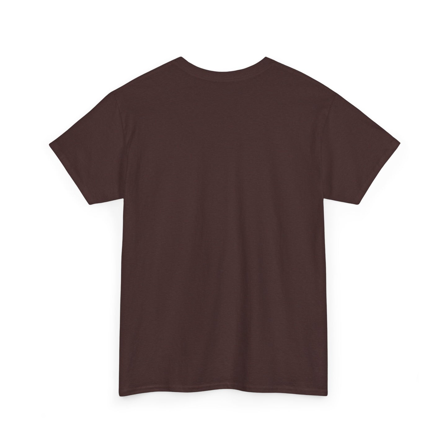 Thalhe Festival - Thalita Ballet Dom Quixote - Ballet Dancer Unisex Heavy Cotton Tee
