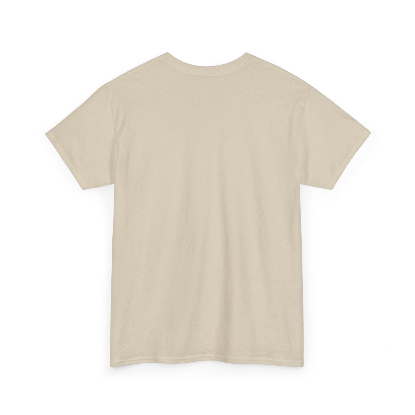 Thalhe Festival - Thalita Ballet Dom Quixote - Ballet Dancer Unisex Heavy Cotton Tee