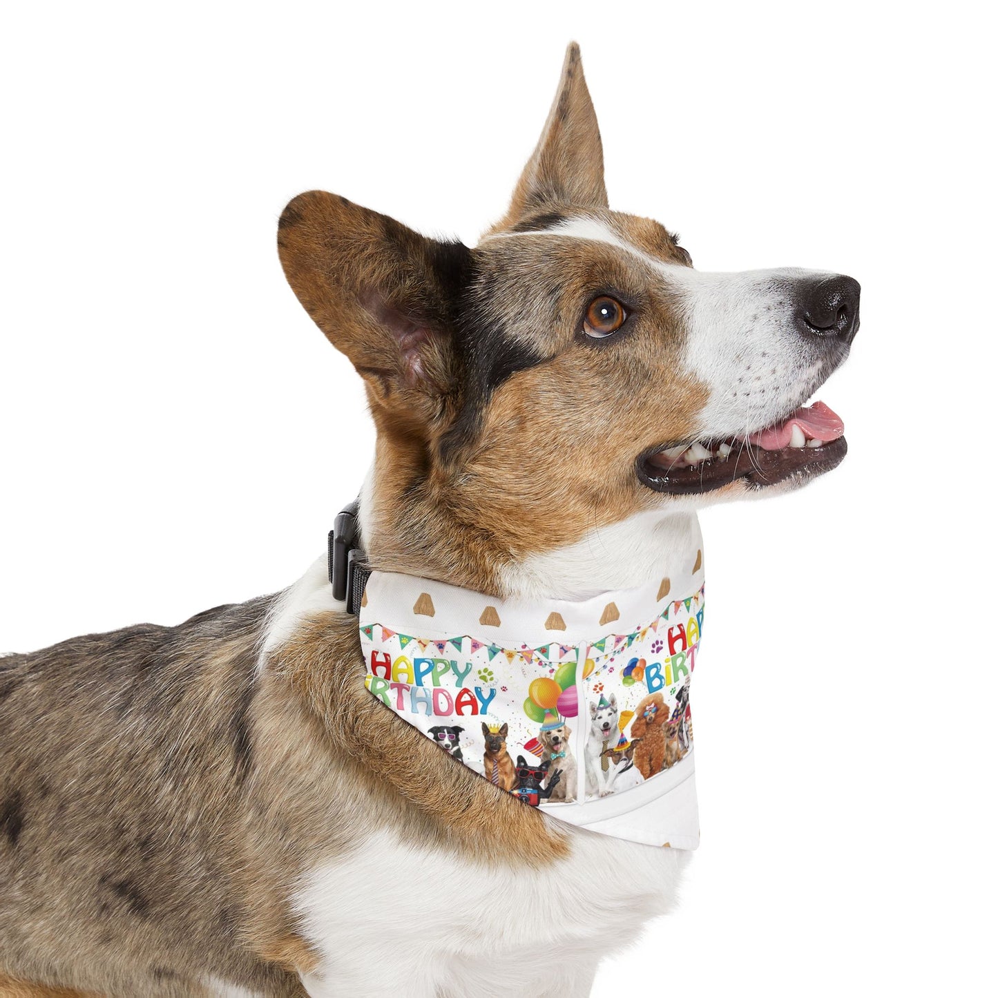 Be Pet - Happy Birthday Pet Bandana Collar