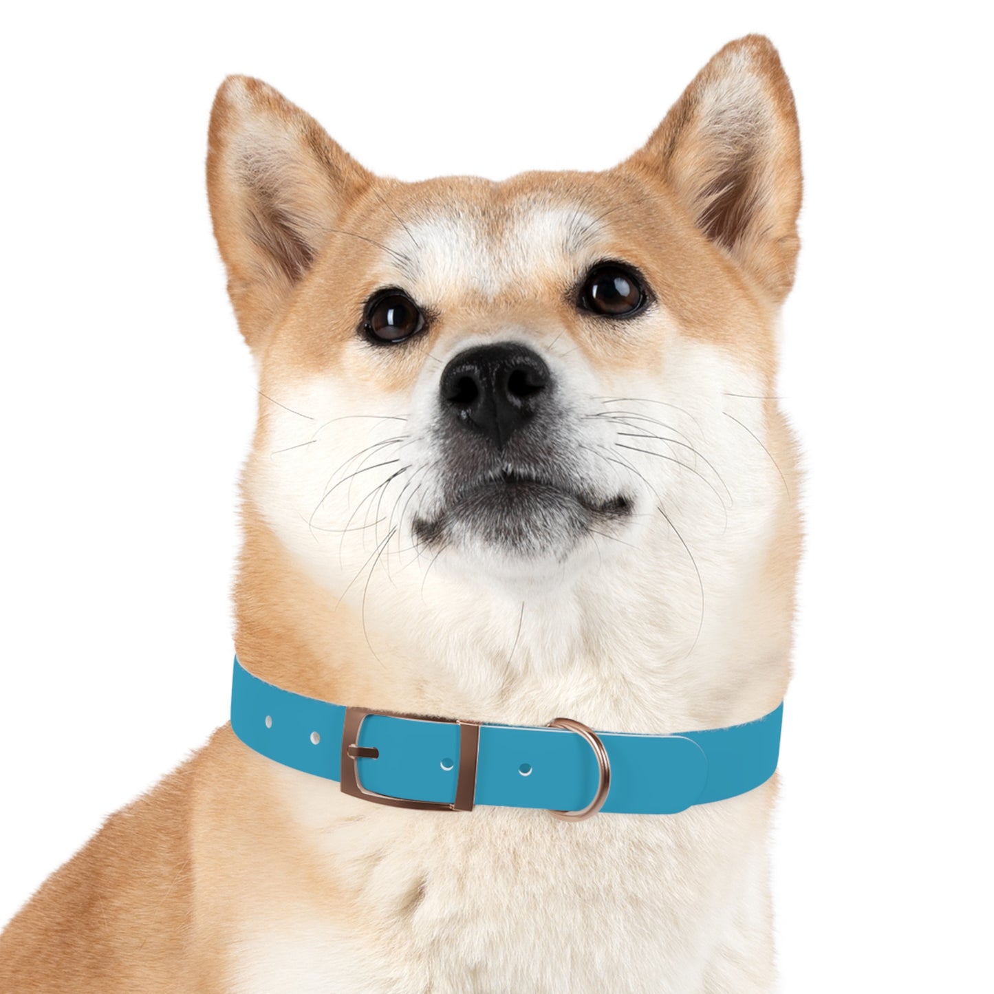 Be Pet - Stylish Dog Collar - Personalization available