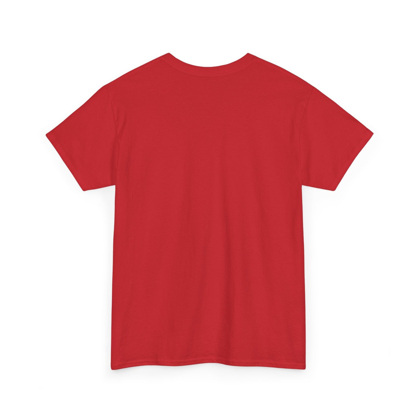 Thalhe Festival - Thalita Ballet Dom Quixote - Ballet Dancer Unisex Heavy Cotton Tee