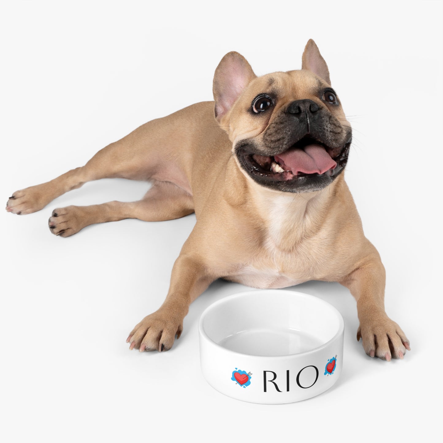 Be Pet - Personalized Pet Bowl for Cats and Dogs