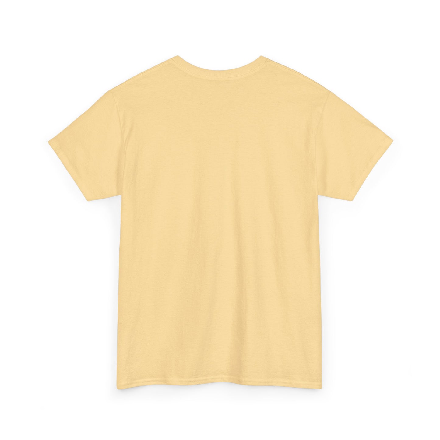Thalhe Festival - Thalita Ballet Dom Quixote - Ballet Dancer Unisex Heavy Cotton Tee