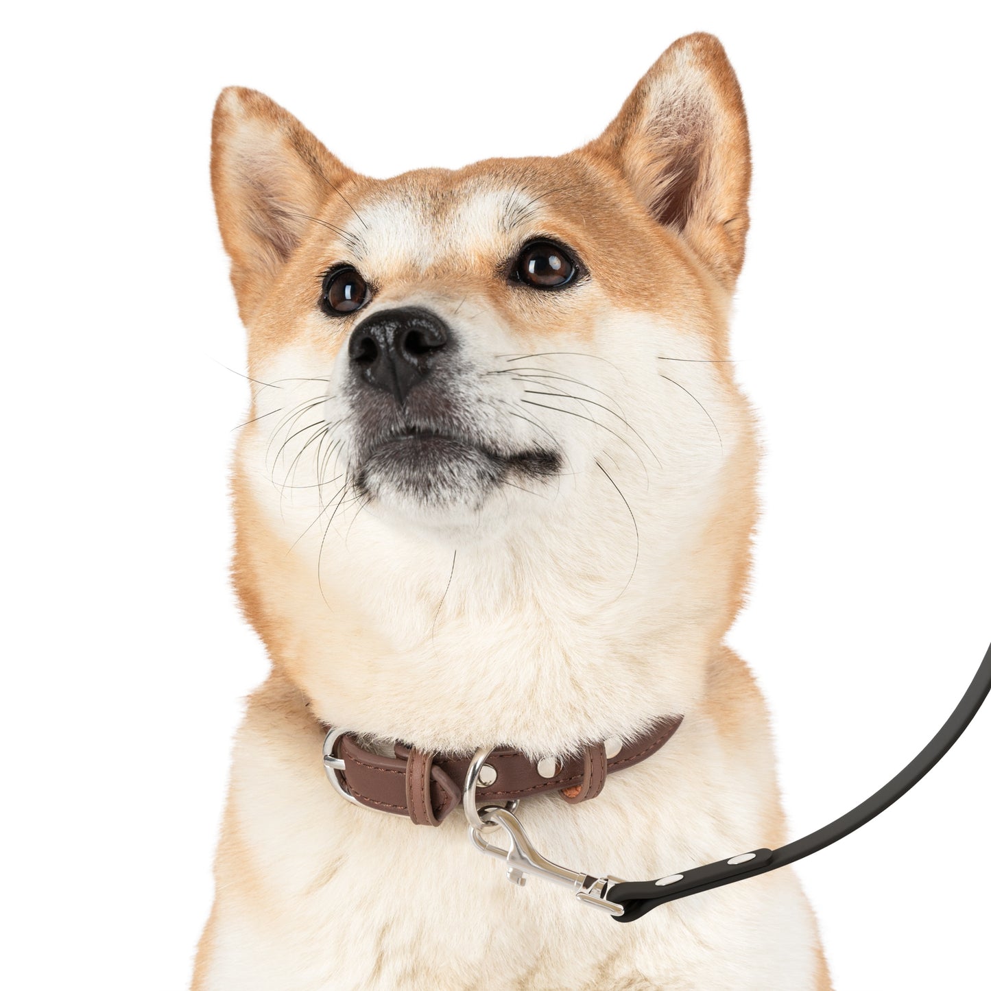 Be Pet - Personalized Colorful Pet Leash