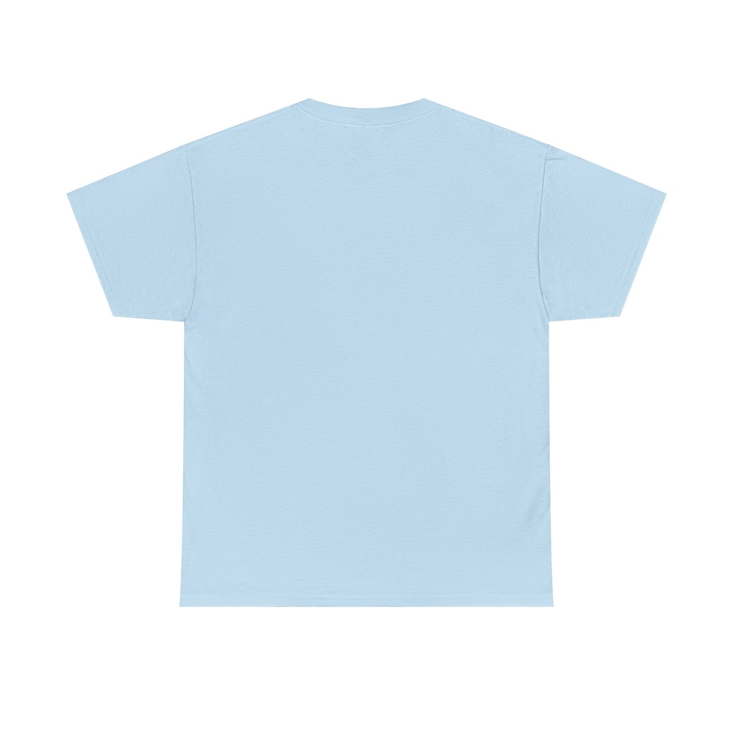 Thalhe Festival - Thalita Ballet Dom Quixote - Ballet Dancer Unisex Heavy Cotton Tee